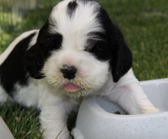 stenata_3_tydny (11)